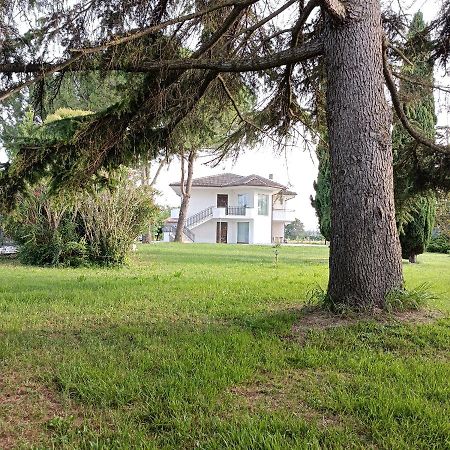 Casa Michelangelo Villa Morrovalle Exterior photo